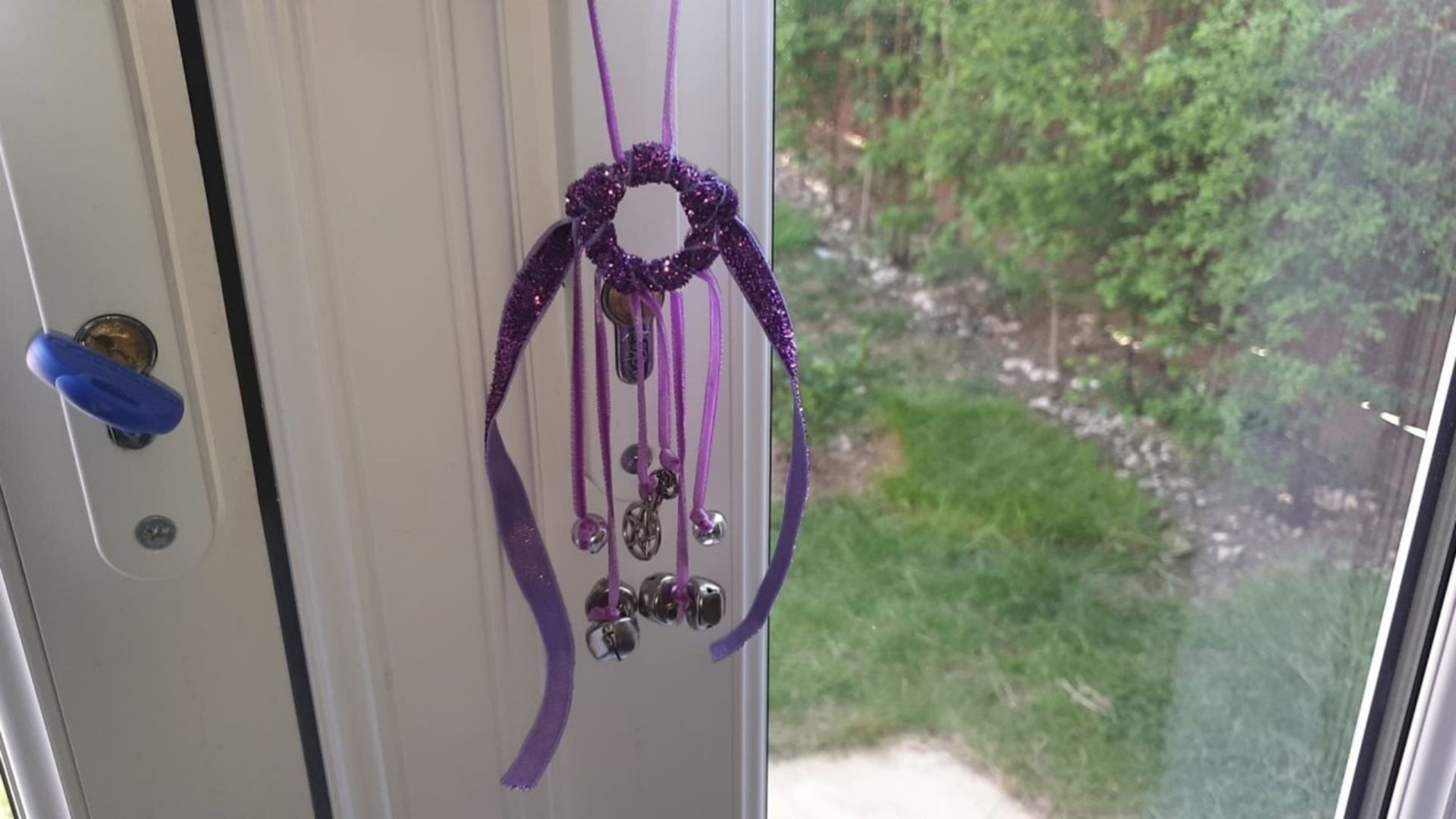 Heksebjeller, lilla - Bilde 3